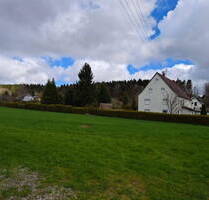 Idyll für Menschen & Tiere & große, bunte Ideen & reiche Chancen - Rottweil