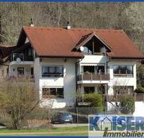 Charmante Wohnung in stadtnaher Lage von Tiengen - Waldshut-Tiengen