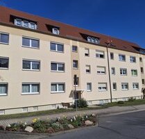Büro im Grünen und ein Apfelwurf entfernt von Sachsenobst - Perfekte Lage, perfekte Ausstattung! - Grimma OT Dürrweitzschen