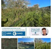 Landwirtschaftsfläche Weinbaufläche - Vaihingen an der Enz