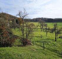 Wohnung (ideal als Ferienwohnung) mit sonniger Süd-Terrasse und herrlicher Aussicht - Simmerath Dedenborn