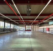 Gewerbe-Produktionshallen mit Bürotrakt in sehr attraktiver Geschäftslage - Endingen