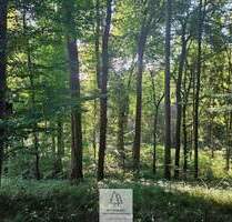 Grün, nachhaltig & regional. Wald als wertstabiles Investment! - Ursberg Mindelzell