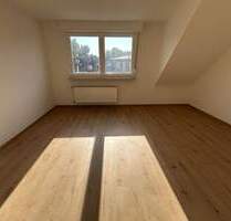 Renovierte, teilw. sanierte Wohnung perfekt für die Einzelperson - Mannheim / Neckarau