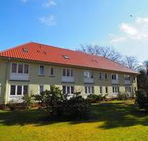 Provisionsfrei: Renovierte, bezugsfreie 1,5-Zimmer Wohnung in guter Wohnlage! - Hamburg Heimfeld