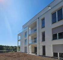 Wohnung mit Moselblick - 543.300,00&nbsp;EUR Kaufpreis, ca.&nbsp; 99,50&nbsp;m&sup2;&nbsp;Wohnfl&auml;che in Trier (PLZ: 54294)