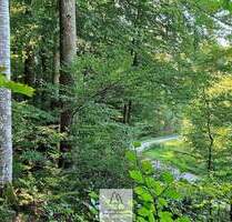 Ihr EIGENER Wald in Münchens schönem Süden - Baierbrunn
