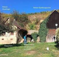 Kleines Weingut Vogtsburg-Bickensohl-Breisach + Wohnhaus + Scheune + Rebterrassen + Weinkeller im Löshang + Sanierungsplan für 1-2 Käufer - Vogtsburg im Kaiserstuhl