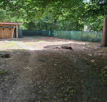 3 ZKB Wohnung, Erdgeschoß mit Loggia und 560 qm Gartengrundstück - Baden-Württemberg - Karlsruhe Waldstadt - Waldlage