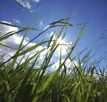 AIGNER - Attraktives Grundstück in Feldafing für EFHZFH