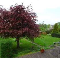 Helle und ruhig gelegene 3-Zimmer-Wohnung im Hochparterre in ruhiger Lage von Auma zu vermieten - Auma-Weidatal