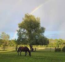 Pferdeparadies: Wohnhaus mit Platz für 25 Pferde auf idyllischem Hof - Nauen Lietzow
