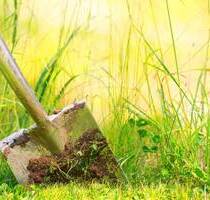 Bauerwartungsland - 110.000,00 EUR Kaufpreis, ca.  0,00 m² in Gundelsheim (PLZ: 74831) Bachenau