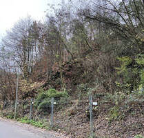 Baugrundstück in ruhiger Ortslage von Bad Dürkheim - Hardenburg - Bad Dürkheim / Hardenburg