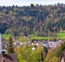 Preisanpassung: Großes Haus mit 3 Wohnungen über 3 Etagen mit XXL-Grundstück mit insgesamt 1.159 qm! - Plüderhausen