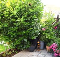 Weinberge vor der Haustür - so macht Wohnen Freude - Weinstadt Schnait