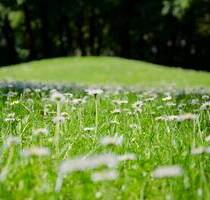 AIGNER - Großzügiges Grundstück mit genehmigtem Vorbescheid in Dießen-Dettenhofen - Dießen a.Ammersee
