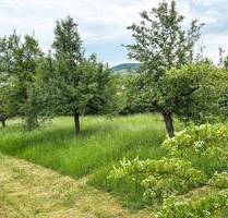 Grundstück mit gemischter Nutzungsmöglichkeit - Würzburg