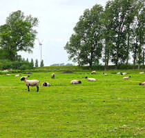 An der Nordseeküste ist` s zu jeder Jahreszeit am schönsten! Mit Terrasse, Freisitz und Wintergarten - Westerdeichstrich