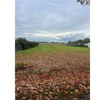 Großzügiges Grundstück mit Panoramablick ins Grüne - Neuhausen/Spree Gablenz