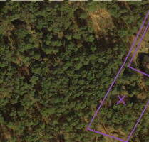 # BAULAND FÜR 2 WOHNEINHEITEN #SICHERHEIT DURCH B-PLAN#VON PRIVAT# - Dierstorf Heide (Wenzendorf) Dierstorf-Heide