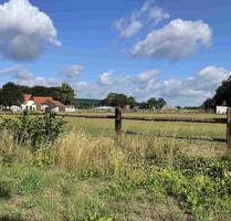 Vielseitig nutzbare Hofstelle - 695.000,00 EUR Kaufpreis, ca.  175,00 m² Wohnfläche in Stemwede (PLZ: 32351) Oppendorf