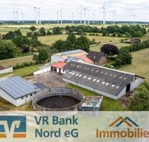 Resthof in Alleinlage - weitere landwirtsch. Flächen verfügbar! - Großenwiehe
