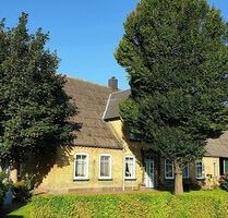 Resthof, Nähe Husum - 399.000,00 EUR Kaufpreis, ca.  289,00 m² Wohnfläche in Winnert (PLZ: 25887)