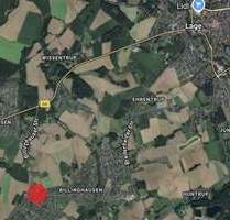 Reihenhäuser mit Grundstück - schlüsselfertig in Lage-Billinghausen