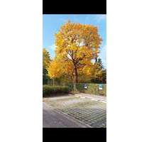 Ismaning, Maklerfrei, EG, ruhig, Südseite, Isarnähe, alters-, kindergerecht, Bezug sofort