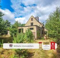 Idyllisches Einfamilienhaus mit 2.913 m² großem Traumgrundstück - Platz für Ihre Ideen - Bad Schmiedeberg Moschwig