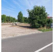 Jetzt Bauplatz sichern - mit ScanHaus naturnah wohnen in Wiedemar.