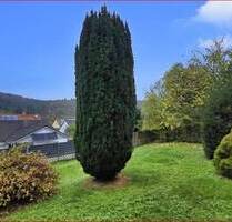 2 Zimmerwohnung in Pforzheim-Würm