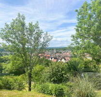 Idyllisches Haus am Südhang: Viel Raum, Charme und unverbaubarer Blick - Mühlacker Lienzingen