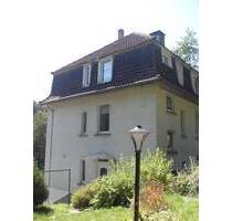 Für Gartenliebhaber! Gemütliche Single-Whg. mit Kamin und Garten! - Lüdenscheid Innenstadt / Staberg / Knapp