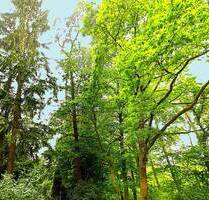 *3*HÄUSER AUF ÜBER 5.000QM² LEBENSOASE*EINMALIG SCHÖN*HH NAH*OHNE PROVISION* - Dierstorfer Heide Dierstorf-Heide