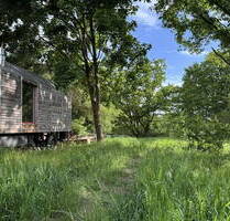 Tinyhaus auf Naturgrundstück 1652 qm, im Landschaftsschutzgebiet, ca 90 Min. von Berlin, 1 Nachbar - Schorfheide Eichhorst