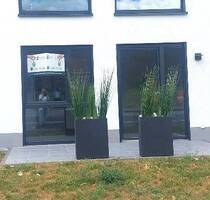 Stadtnahe hochwertige 2,5-Zimmer-ETW mit Terrasse in Fulda-Lehnerz. Neubau + Erstbezug !