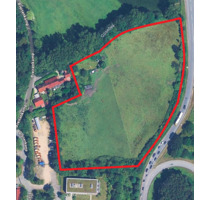 Weidelandfäche im Ostseebad Scharbeutz