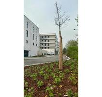 Neubau-Eigentumswohnungen in 93133 Burglengenfeld in den Spitalgärten teilmöbliert mit Südwest Balkon