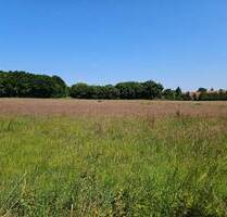 Zwischen Wald, Acker, Wiese und Dorfrand! - Rossin
