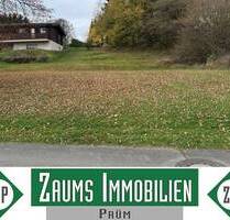 wunderschön ruhig gelegenes Baugrundstück mit Fernblick - Hersdorf Weißenseifen