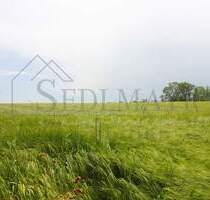 VERKAUF: Gepflegte und grüne Oase in Seefeld