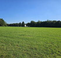 Alleinlage Nutzfläche 735qm 26000qm Wald Wiese 2 Familien Wohnhaus Gewerbehalle autark - Aichstetten