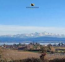 Einzigartiges Baugrundstück für Wohnbebauung 590 m², sofort verfügbar - Meersburg-Riedetsweiler