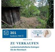 Zugewachsenes Grundstück zu verkaufen in Eutingen! - Pforzheim-Eutingen Eutingen - Stadtviertel 154