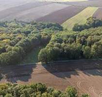 Laubholzflächen in Lindau - 7.000,00&nbsp;EUR Kaufpreis, ca.&nbsp; 0,00&nbsp;m&sup2; in Heideland OT Lindau (PLZ: 07613) Rudelsdorf