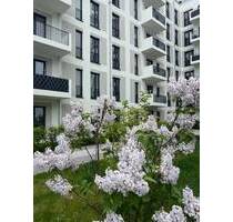 1 Zimmer mit Garten im Erdgeschoss - HAVELUFER Quartier - Berlin Hakenfelde