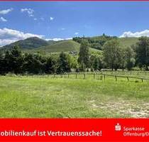 Durbach - Traumgrundstück mit Weitblick und Bachlauf: Sonne und Platz für Ihr Zuhause!