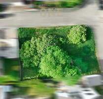 Sonniges Grundstück in Mainburg - Ruhige und begehrte Lage für Ihr Traumprojekt!